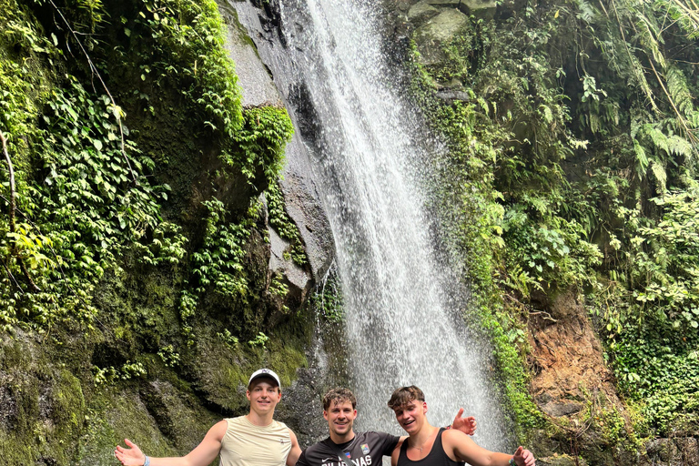 Ubud: Private Half-Day Tour Rice Terrace, Temple & Waterfall Private Ubud Half-Day Tour (Without Entrance Ticket)