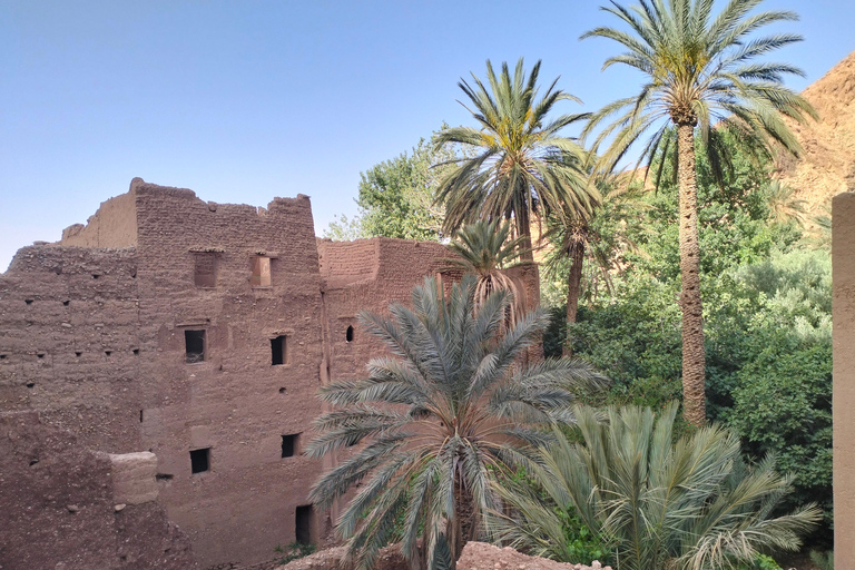 From Marrakech 4 days Sahara Merzouga with Camel & Quad bike From Marrakech 4 days desert merzouga with camel & Quad bike