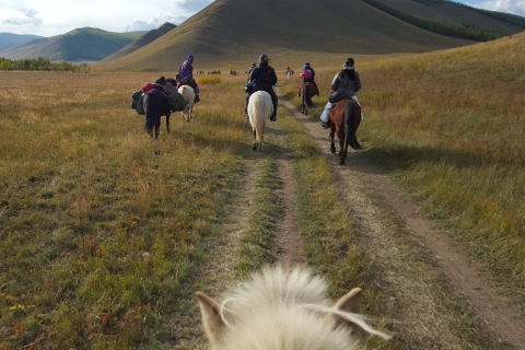 Visite d'une famille de rennes, découverte de la région nord de la Mongolie