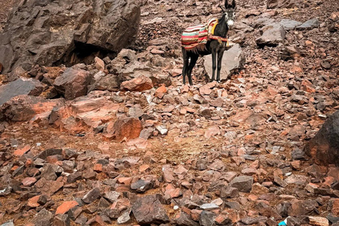 From Marrakech: 2-Day Mount Toubkal Trek with Guide