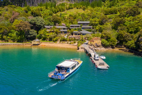 Queen Charlotte Sound: Lochmara Cruise & Explore 9-2.45 - Image 2