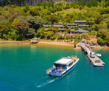 Queen Charlotte Sound: Lochmara Cruise and Explore Day Trip
