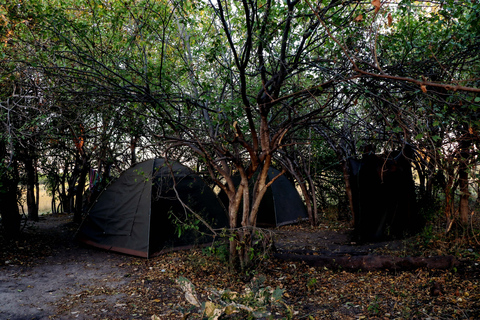 Chobe - Savuti Trail: Elephant & Big Cats (4 days 3 Nights)