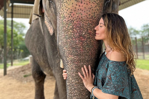 Jaipur: Hathigao Elephant Village Ride, Feeding, & Photos Riding, Feeding, Climbing And Photography with Elephant