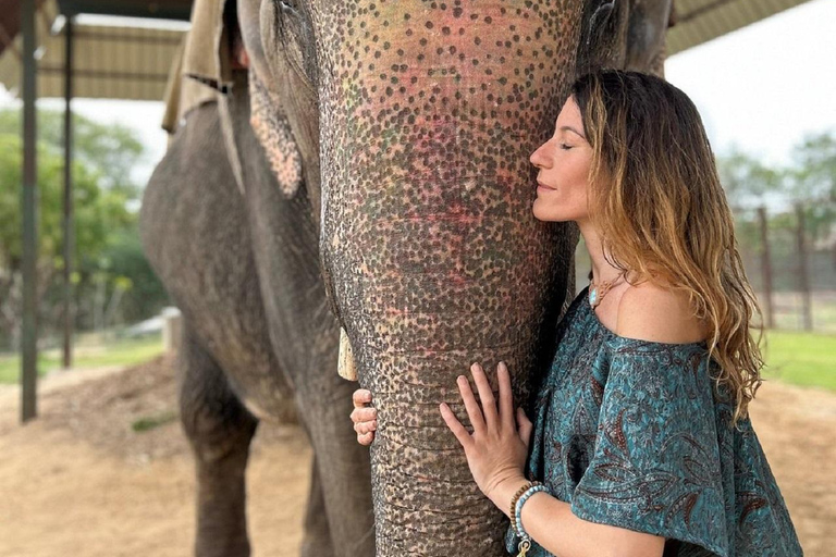 Jaipur: Hathigao Elephant Village Ride, Feeding, & Photos Riding, Feeding, Climbing And Photography with Elephant