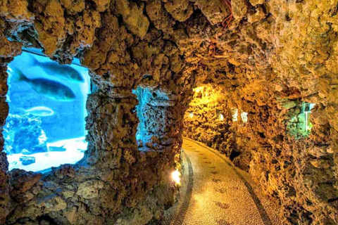 Rhodes: Farm and Aquarium Tour with Entry Tickets included