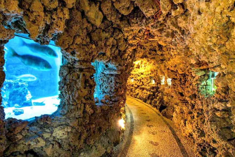 Rhodes: Farm and Aquarium Tour with Entry Tickets included
