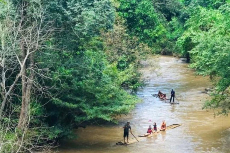 Khao Sok: Excursión Privada en Balsa de Bambú y Templo de la Cueva de la SelvaAventura privada