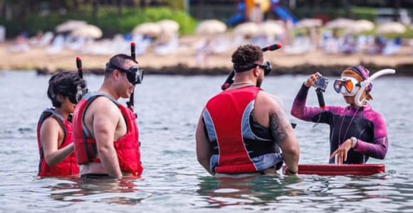VIP Snorkeling with Turtles w/Complimentary Videos