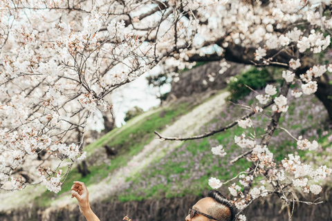 Tokyo Cherry Blossom Express Tour with Boat Ride