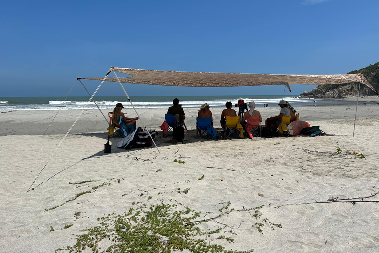 Huatulco: Surf Lesson with surf instructor. All Levels