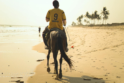 Saint John: Horseback Ride with Beach & Countryside Options 1-Hour Coastal Countryside Ride