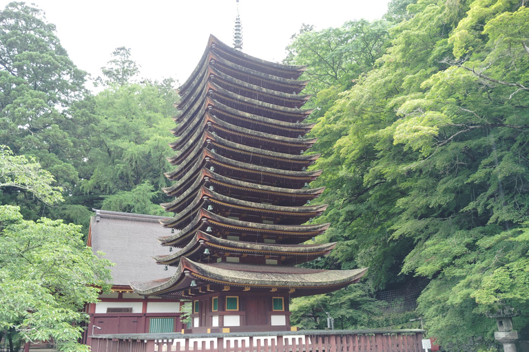 Nara: Explore Tanzan Shrine’s Pagoda and Sacred History