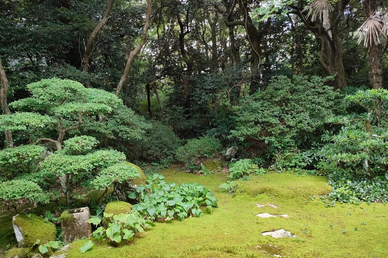 Kanazawa, Noto: Old Temple Half Day Tour with a Monk