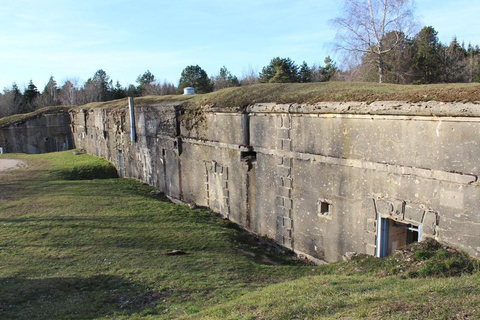 Verdun: 1916 Die Hölle der Schlacht