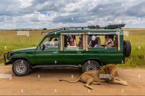 Chobe halve dagtrip vanuit Victoria Watervallen