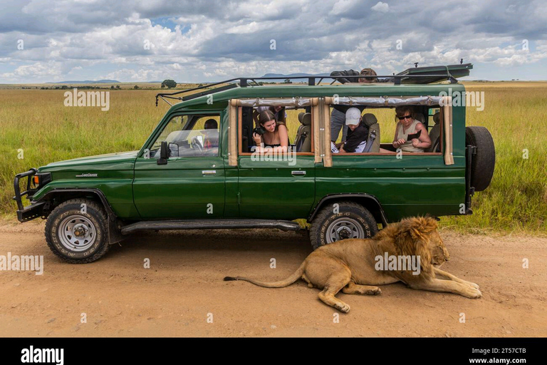 Excursion d&#039;une demi-journée à Chobe au départ des chutes Victoria