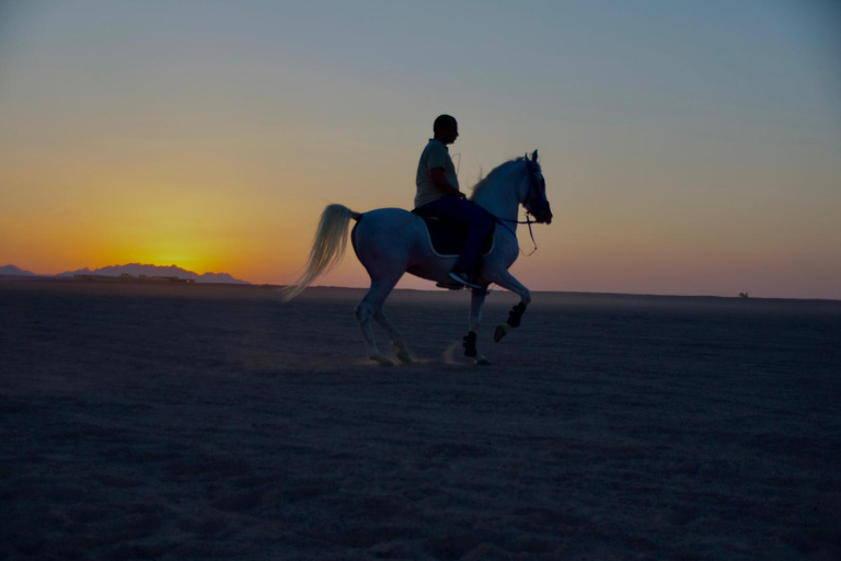 Hurghada Horse Riding With Optional Stargazing, BBQ & Show