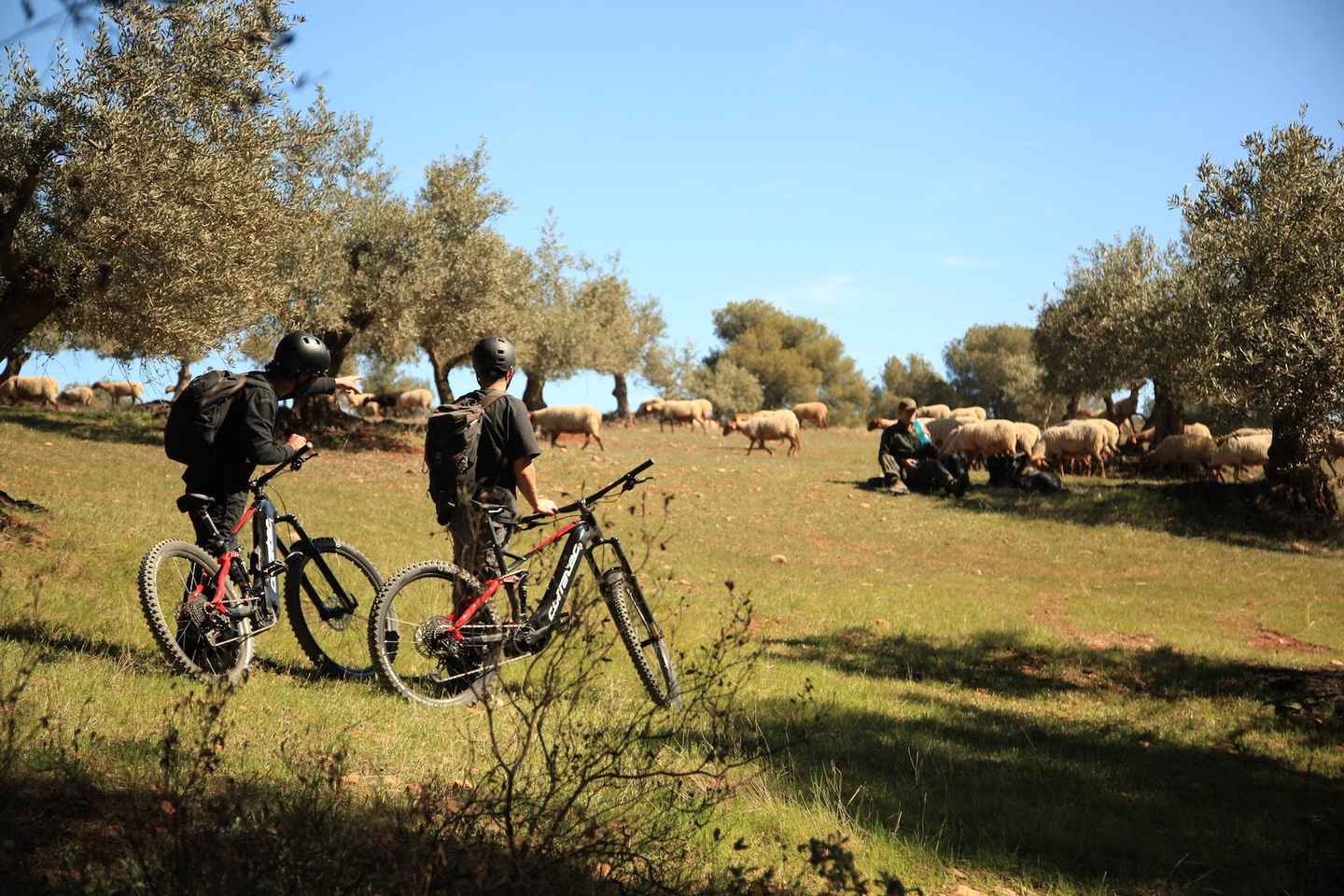 Granada: Tour in E-bike tra Natura, Fauna e Borghi Autentici