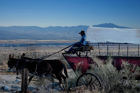 Palm Desert: Mule-Drawn Covered Wagon Adventure Tour-only