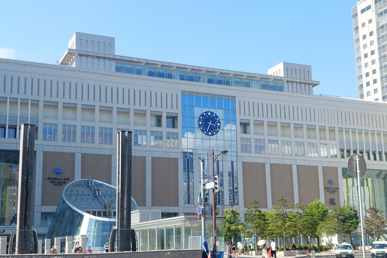 Sapporo: Private Full Day City and Cultural Tour with Guide