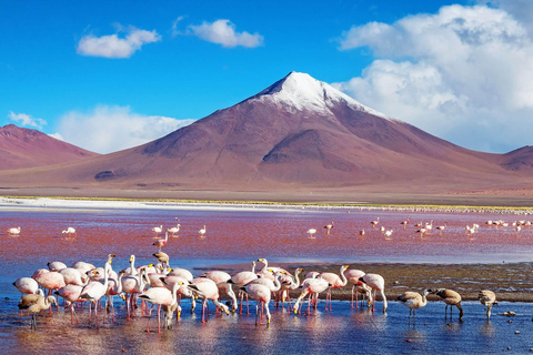 From La Paz to Atacama: 4-Day Tour to Salar de Uyuni