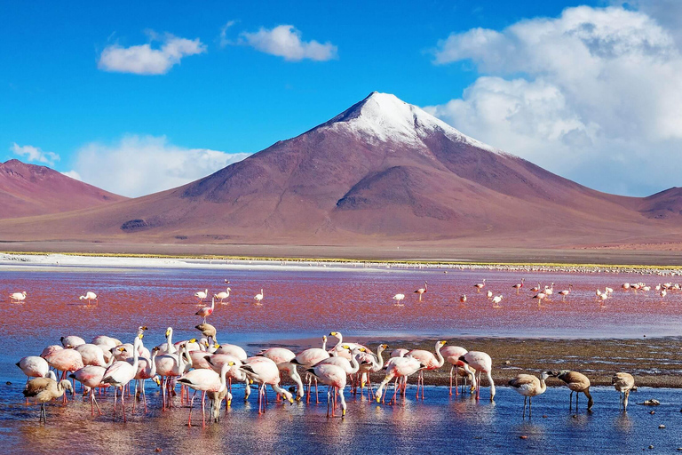 From La Paz to Atacama: 4-Day Tour to Salar de Uyuni