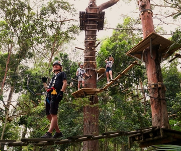 Currumbin Vahşi Yaşam Koruma Alanı: Giriş ve TreeTops Yarışması