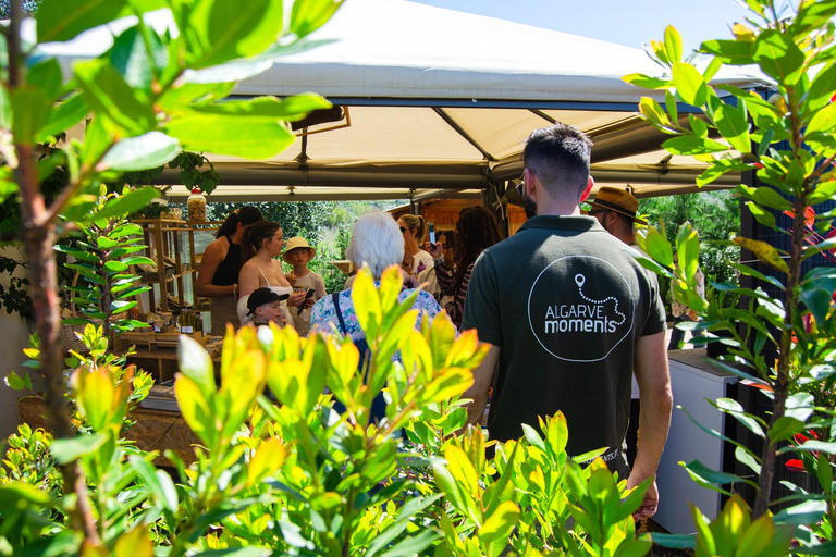 Albufeira: Algarve Traditions & Food Tasting pick up Albufeira: Algarve Traditions & Food Tasting