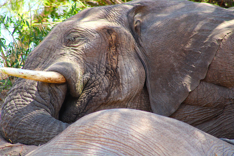 Windhoek: 3-Day Guided Safari in Etosha with Lodge