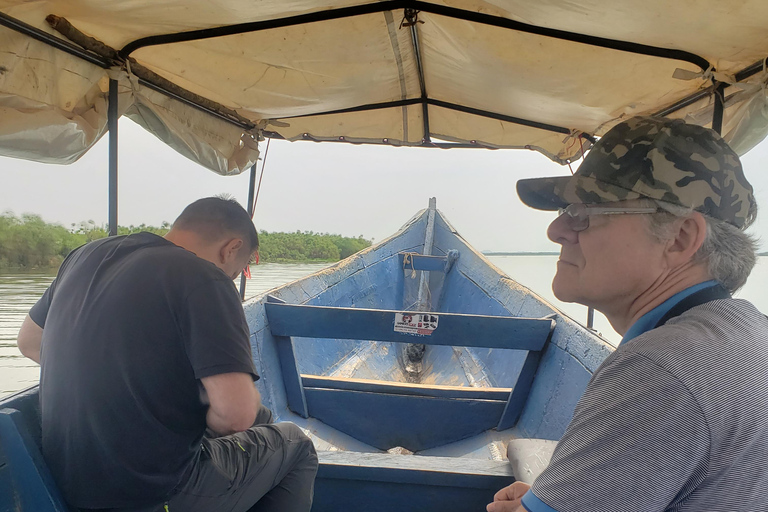 Mabamba swamp bird tours and shoebill trekking