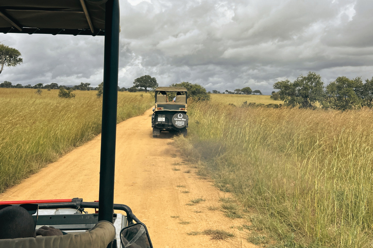 Från Zanzibar: Mikumi Safari med tvåmotorigt flygplan + lunchMikumi Safari – utan transfer
