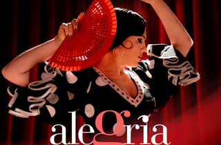 Malaga: spettacolo di flamenco all'Alegría