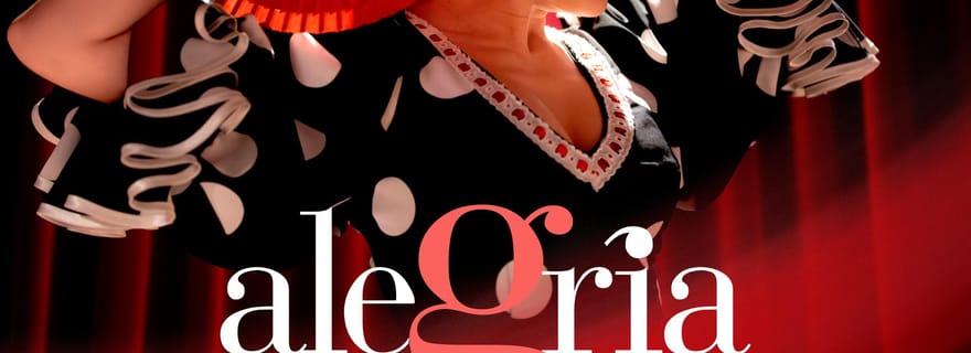 Malaga: spettacolo di flamenco all'Alegría