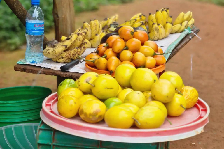 1 Day Private Cultural tour to Materuni Waterfalls & Chemka