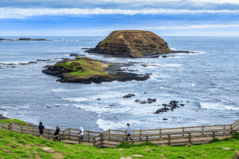 ملبورن: جولة مشاهدة البطاريق في وادي يارا مع الشوكولاتة والنبيذملبورن: جولة في بارتيج البط وشوكولا