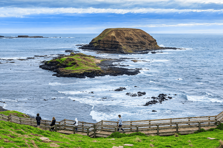 ملبورن: جولة مشاهدة البطاريق في وادي يارا مع الشوكولاتة والنبيذملبورن: جولة في بارتيج البط وشوكولا