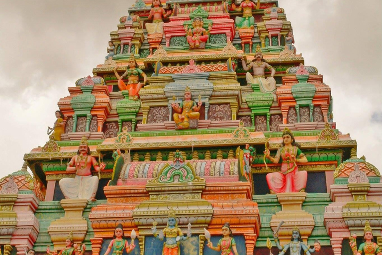 Visite d&#039;une jounée au nord de l&#039;île Maurice, tout compris, avec déjeuner