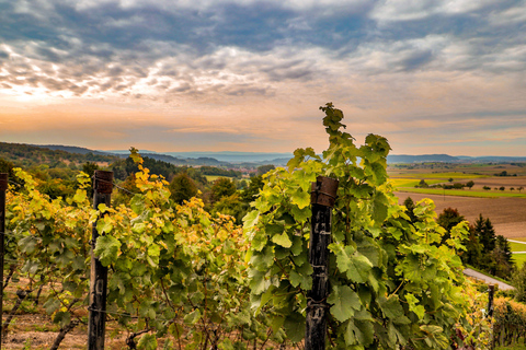 Sedona: Alcantara Vineyard Horseback Riding Tour