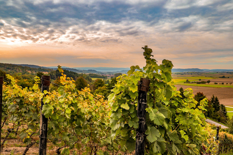 Sedona: Alcantara Vineyard Horseback Riding Tour