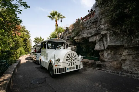 Nice: A gentle ride on a little electric train with a panoramic view