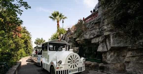 Nice: A gentle ride on a small electric train with panoramic views