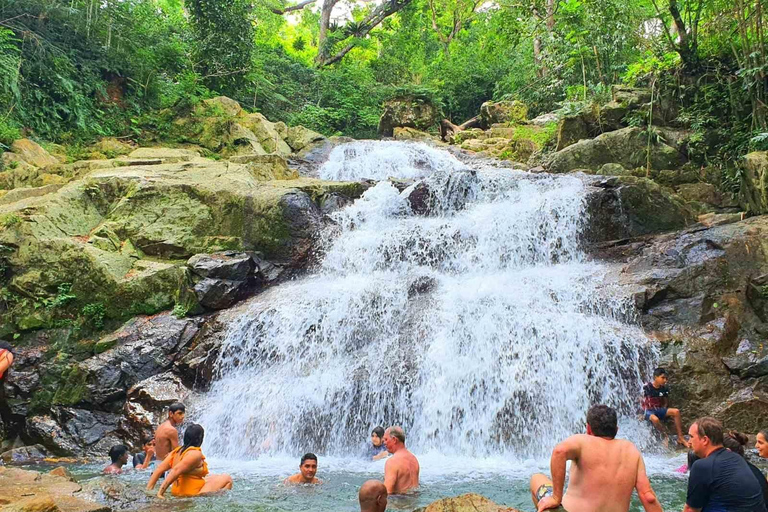 Nadi: Zipline, Waterfalls, and Jungle Safari Tour with Lunch