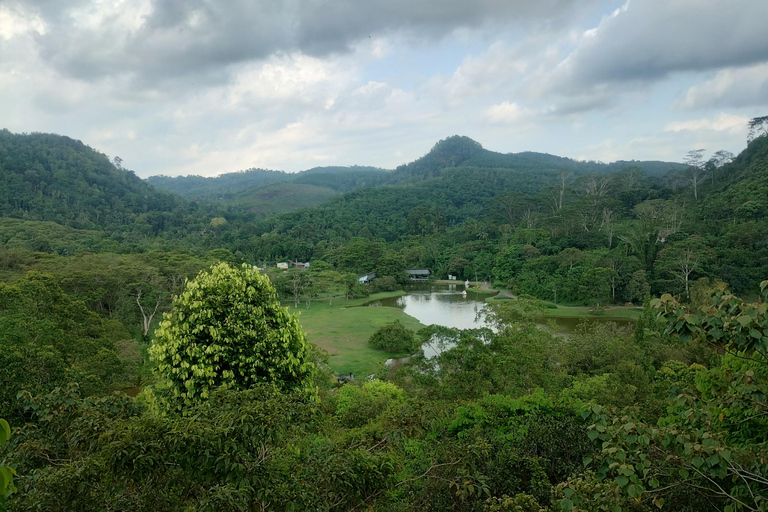 Colombo: Excursión de un día; jardines botánicos de la zona húmeda de Seethawaka