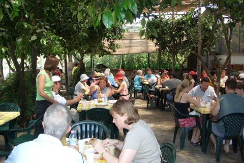 Sorrento: Walking Tour in Lemon Garden w/ Food Tasting