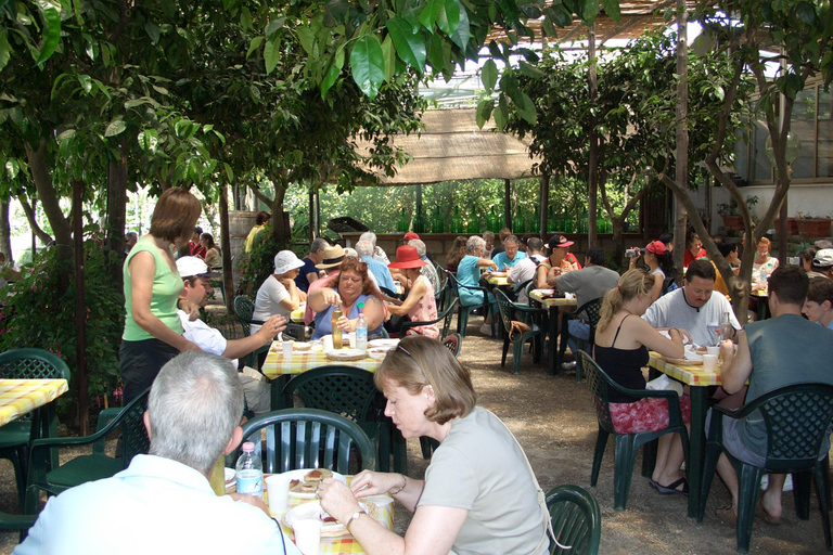 Sorrento: Walking Tour in Lemon Garden w/ Food Tasting