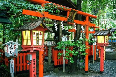 من أوساكا: جولة ليوم واحد في كيوتو ونارا وفوشيمي إناري وأراشياماTrip including Sagano Romantic Train