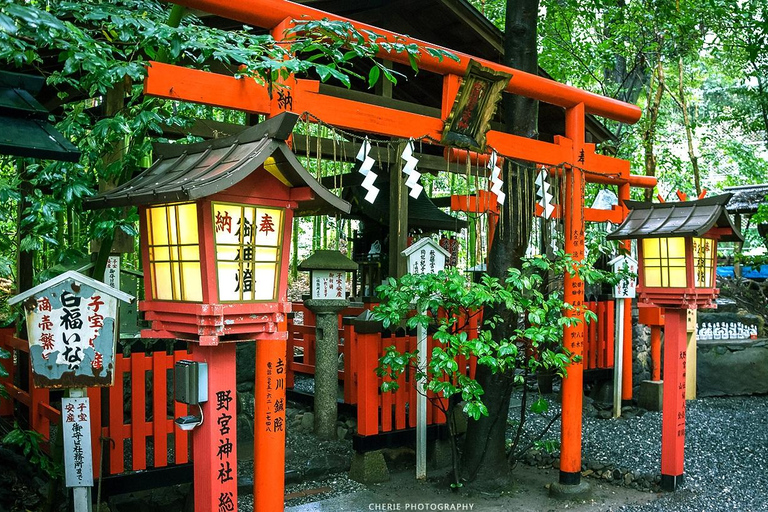 من أوساكا: جولة ليوم واحد في كيوتو ونارا وفوشيمي إناري وأراشياماTrip including Sagano Romantic Train