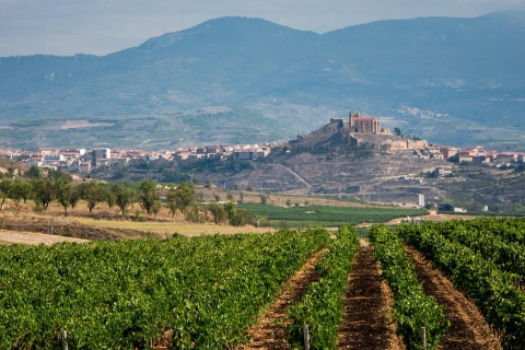 Vanuit Madrid: La Rioja & Baskenland 4 daagse tourHotel Eenpersoonskamer