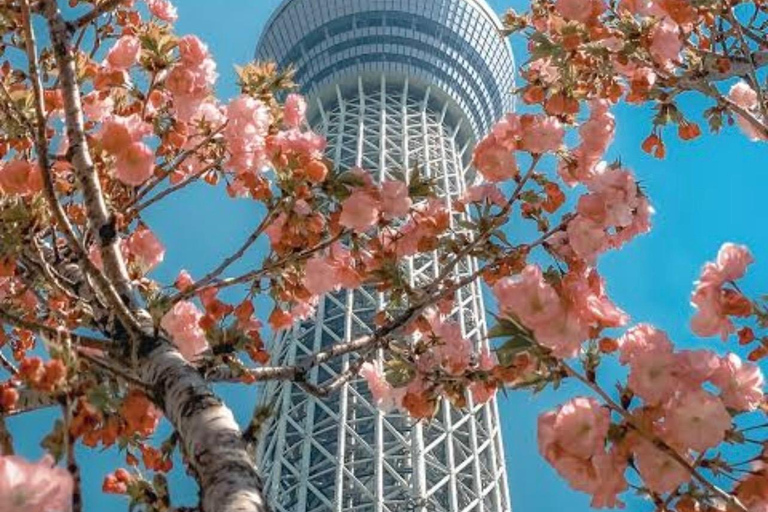Tokyo: Private City Tour with Tokyo TeamLab Planets.